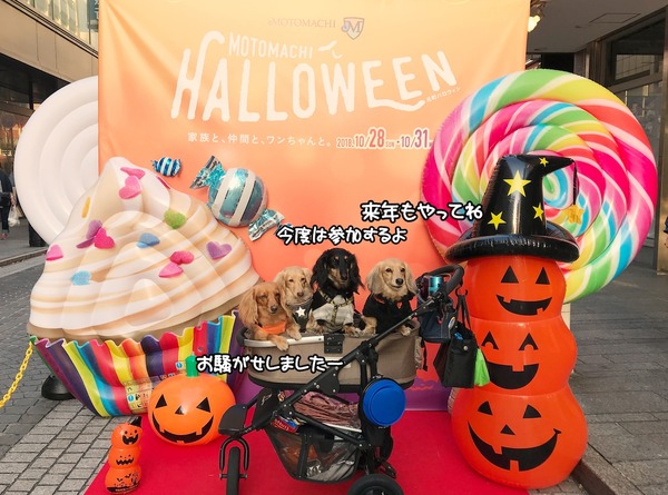 meruloco20181030-16