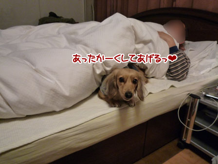 003_20120127231810.jpg
