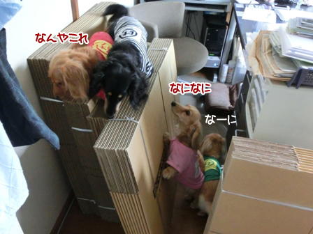 201605263.jpg