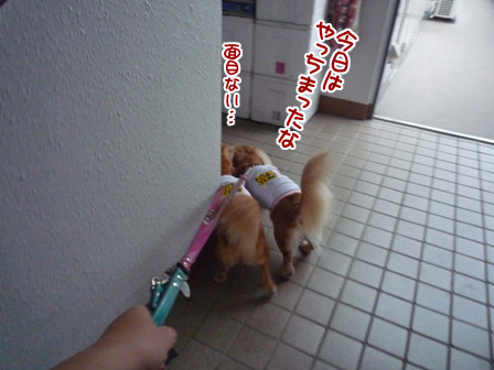 023_20120719223130.jpg