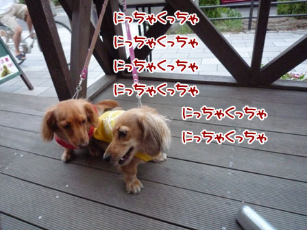 002_20110825225058.jpg