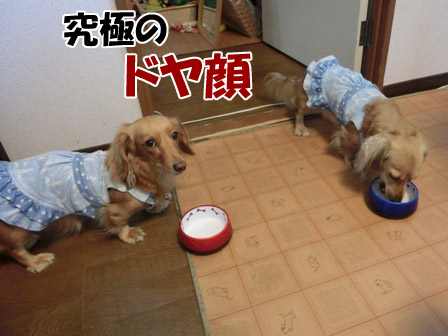 006_20120910232303.jpg