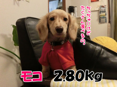 017_20131025230633ce3.jpg