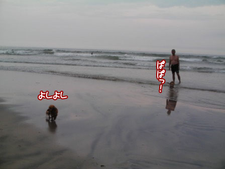 046_20110808221236.jpg