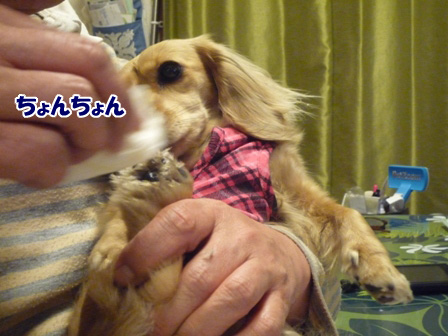 036_20110428012413.jpg
