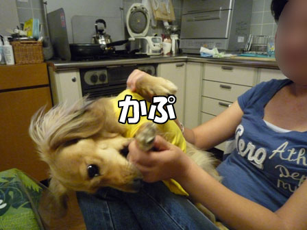 004_20111005231946.jpg