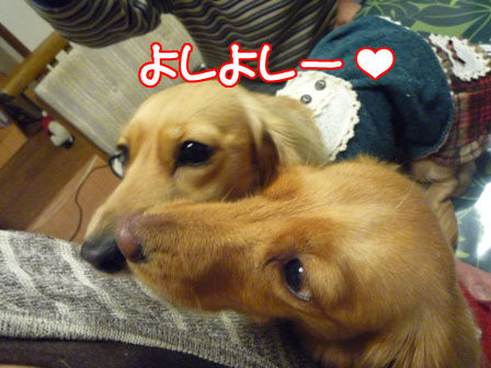 023_20110111215248.jpg