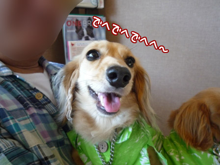 009_20120716231233.jpg