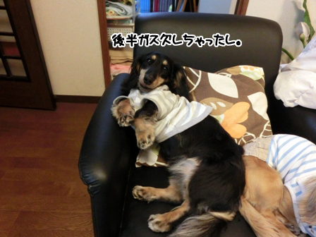 063_20150524234602cc0.jpg
