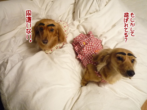 プロフィール03