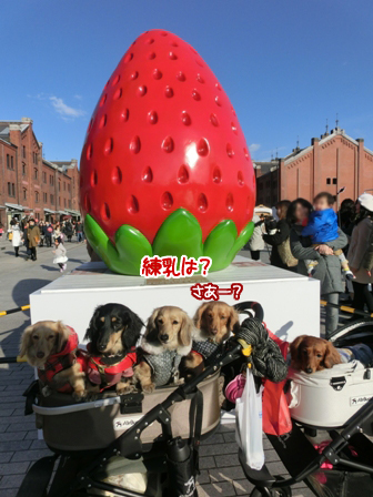 201602083.jpg
