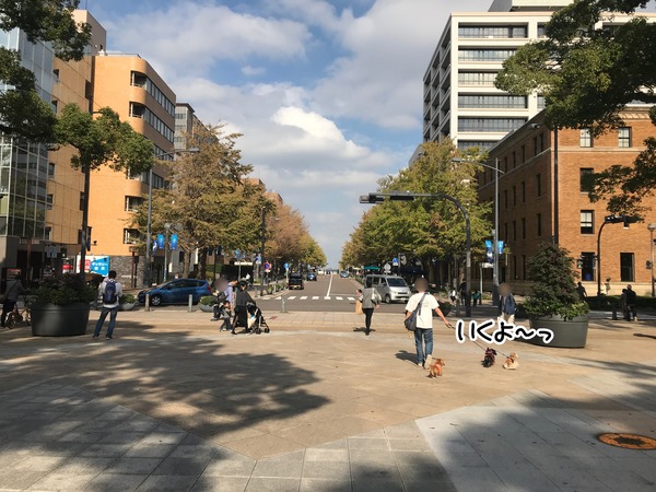 meruloco20181029-2