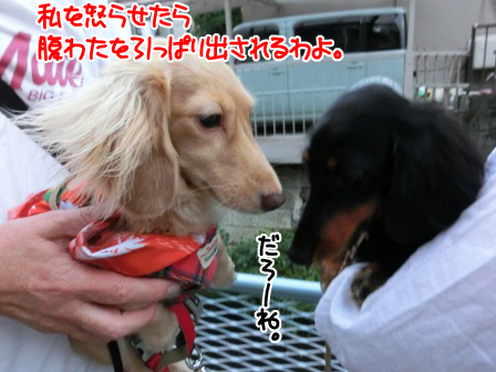 009_20150828004604e3b.jpg