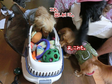 201606084.jpg