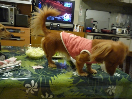 009_20110821022313.jpg