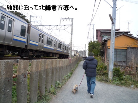 006_20120116234658.jpg