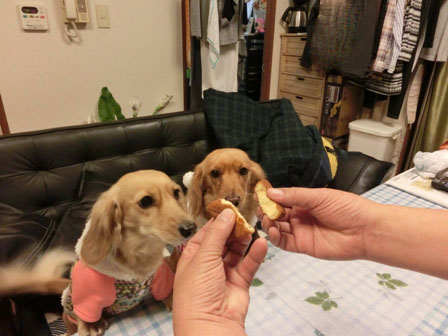 014_20130105232320.jpg