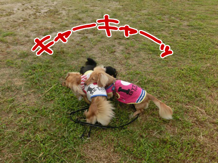 201509230161.jpg