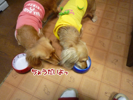 026_20110420223724.jpg