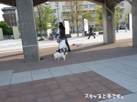 051_20120514001444.jpg