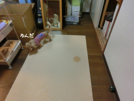201606182.jpg