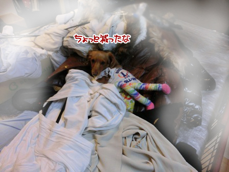 20151022028.jpg