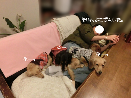 201602073.jpg