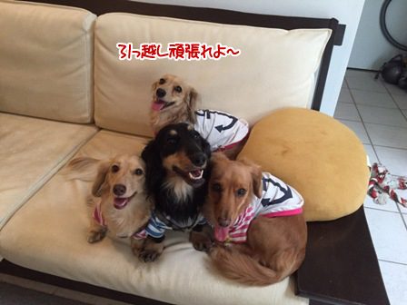 201606221.jpg