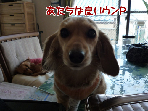adfb211f.jpg