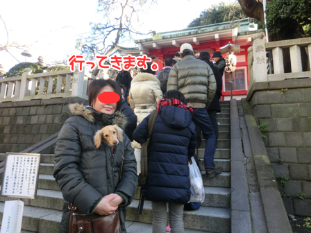 011_20150103003519b0b.jpg