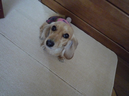 002_20110526001556.jpg