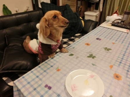 023_20130105234550.jpg