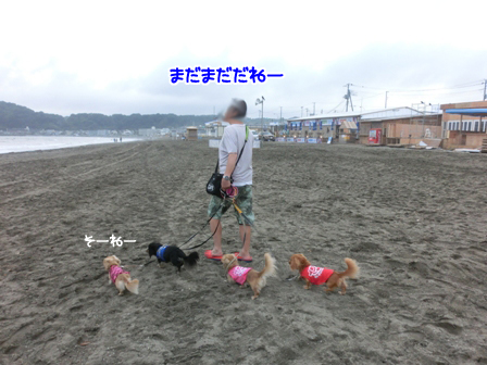 007_20150702225818909.jpg