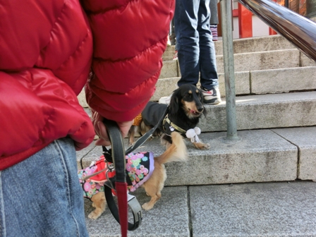 201601042.jpg