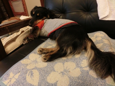 022_2014072701514047f.jpg