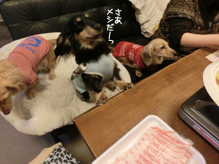 201601165.jpg