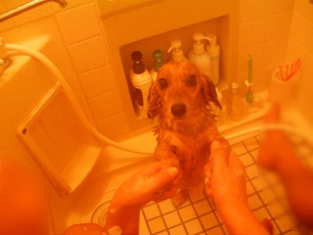 026_20110828231900.jpg