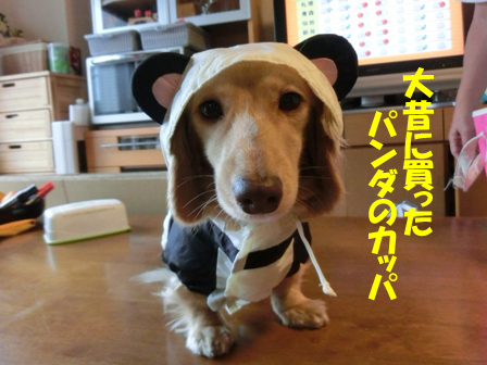 201606082.jpg