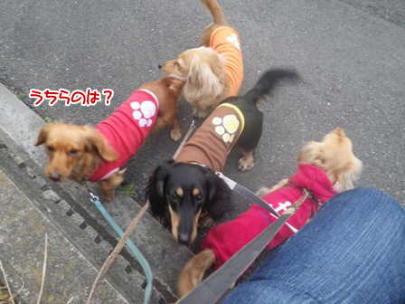 006_201502242312486cb.jpg