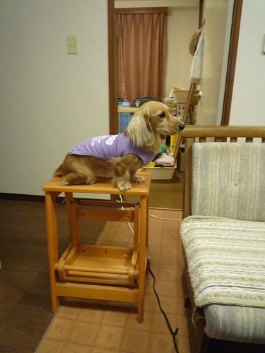 P1010562.jpg