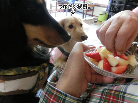 022_201412220005455c3.jpg