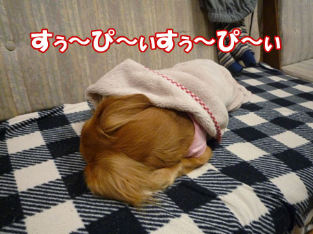 003_20110103222444.jpg