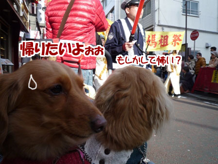 070_20120320233148.jpg