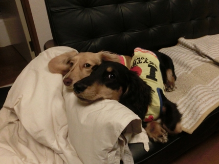 016_20140423225515d36.jpg