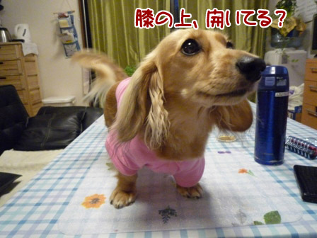 035_20120804223640.jpg