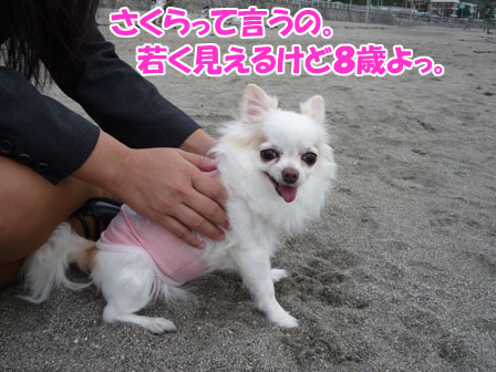 013_20111003001713.jpg