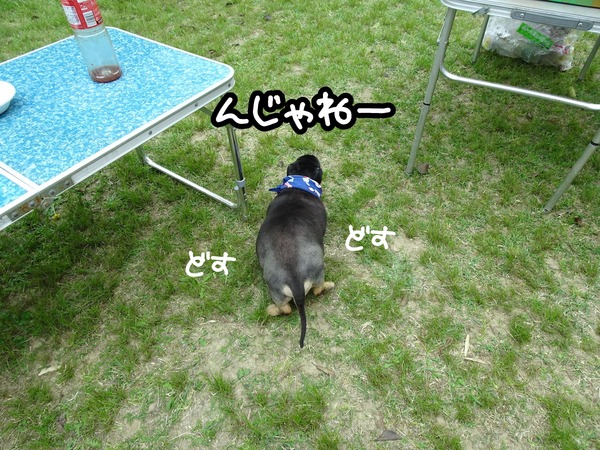 m-20190421BBQ-15