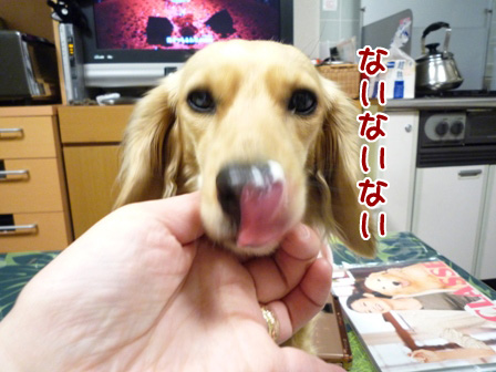 002_20110310001914.jpg