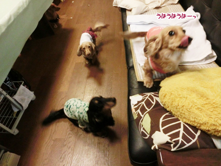 020_2014022323255717d.jpg