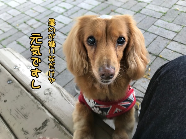 m-202106122-7